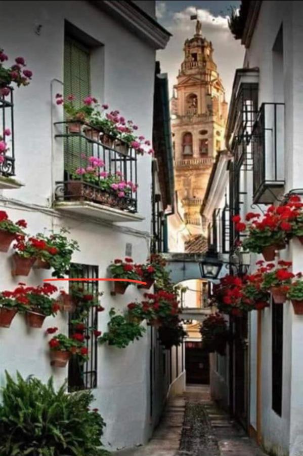 Casa Isa Διαμέρισμα Κόρδοβα Εξωτερικό φωτογραφία